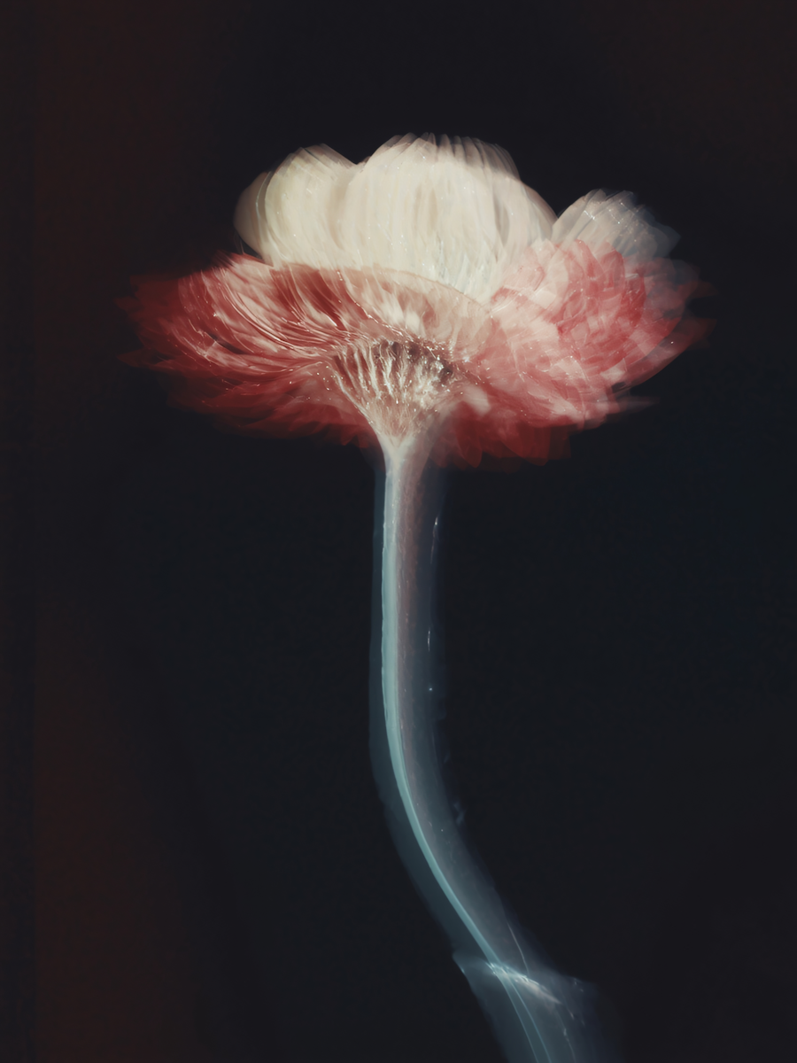 Futuristic humanoid representing AI engineering and integration